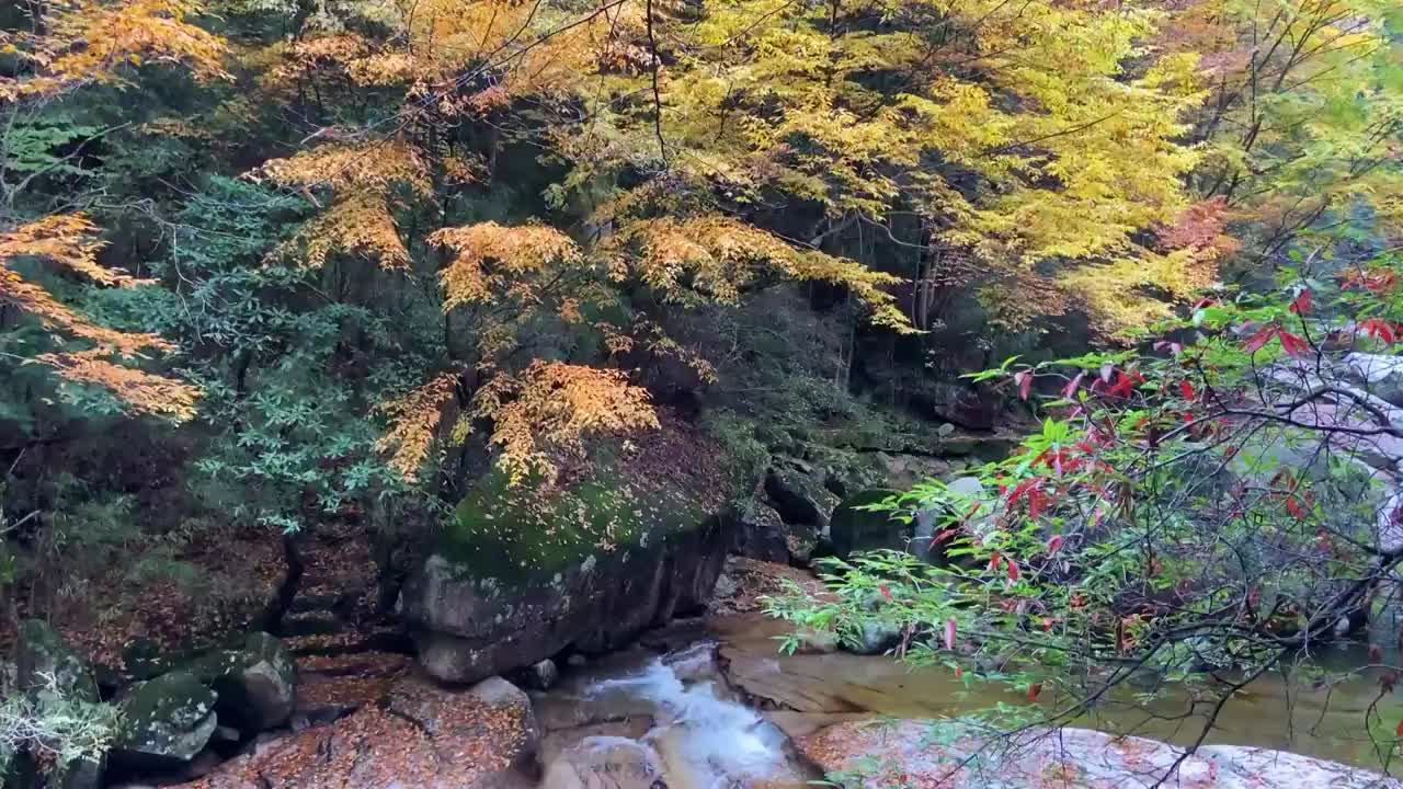 中国四川省巴中市南江县光雾山十八月潭风景区红叶视频素材