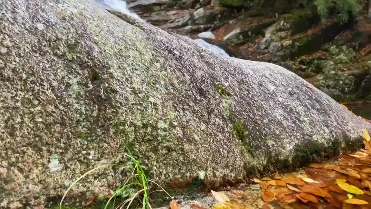 中国四川省巴中市南江县光雾山十八月潭风景区红叶视频素材