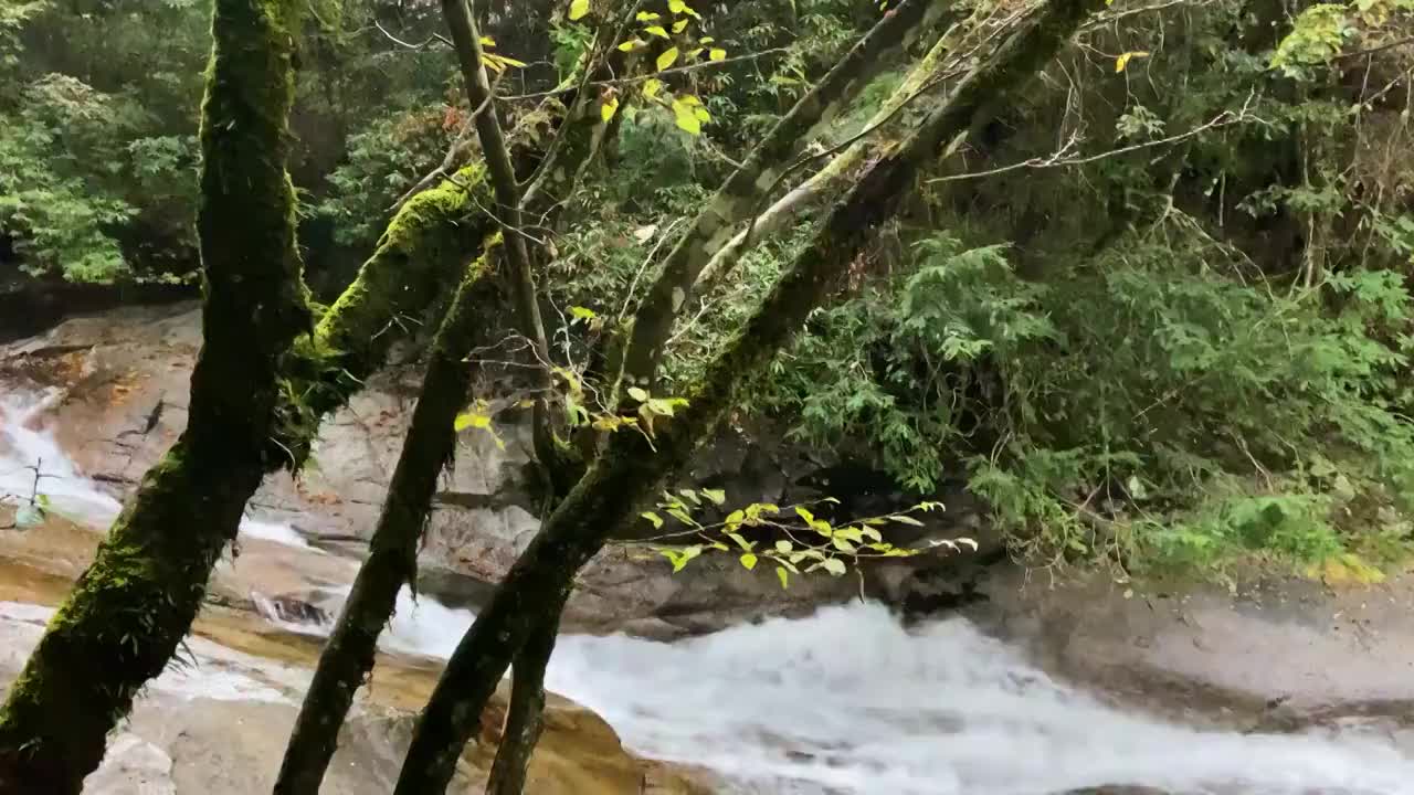 中国四川省巴中市南江县光雾山十八月潭风景区红叶视频素材