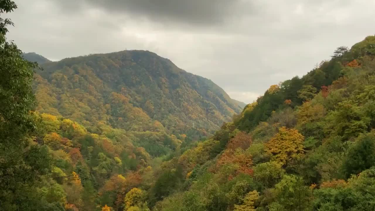 中国四川省巴中市南江县光雾山十八月潭风景区红叶视频素材