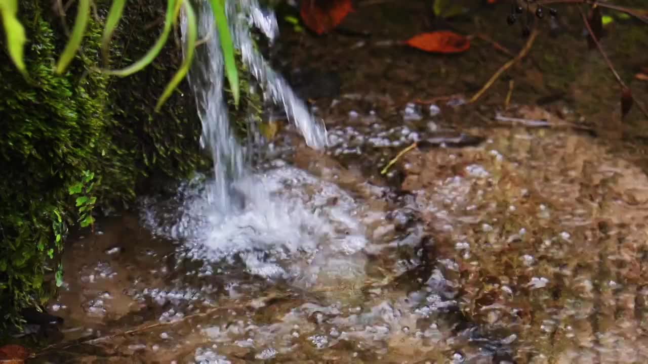 小溪慢镜头拍摄视频素材