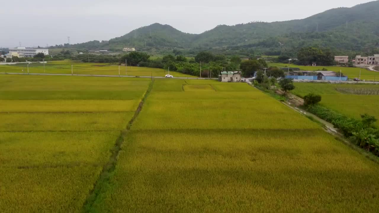 广东省汕尾市陶河镇航拍视频视频素材