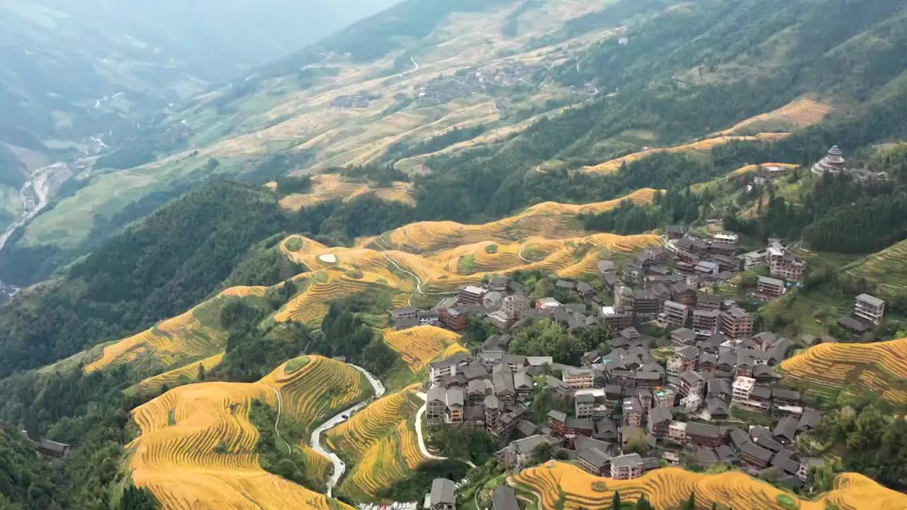 桂林龙脊梯田平安梯田秋季金色稻田风光4K航拍视频素材