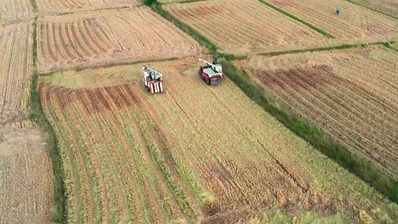 4k航拍农田收割视频视频素材