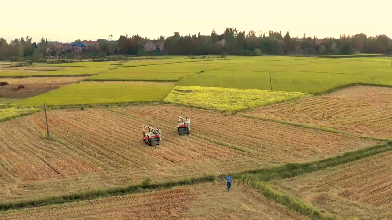 4k航拍农田收割视频视频素材