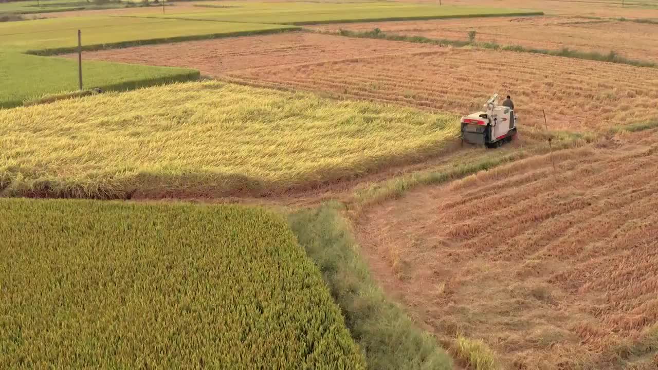 4k航拍农田收割视频视频素材