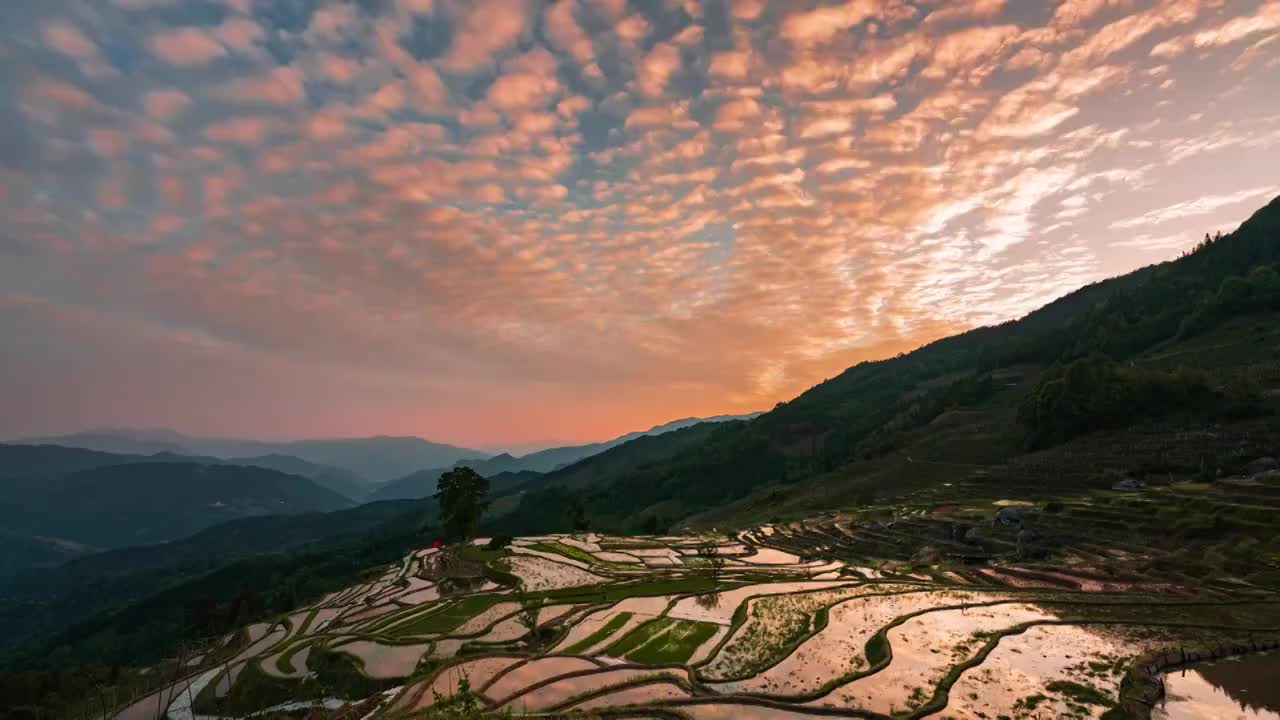 桂林小岩底梯田日落视频素材