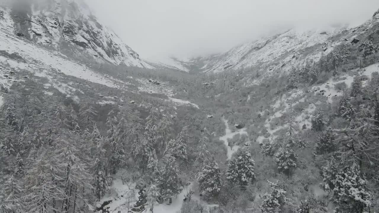 毕棚沟雪景航拍视频素材