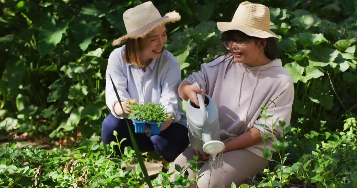 亚洲母亲和女儿在阳光明媚的日子里一起园艺微笑视频素材