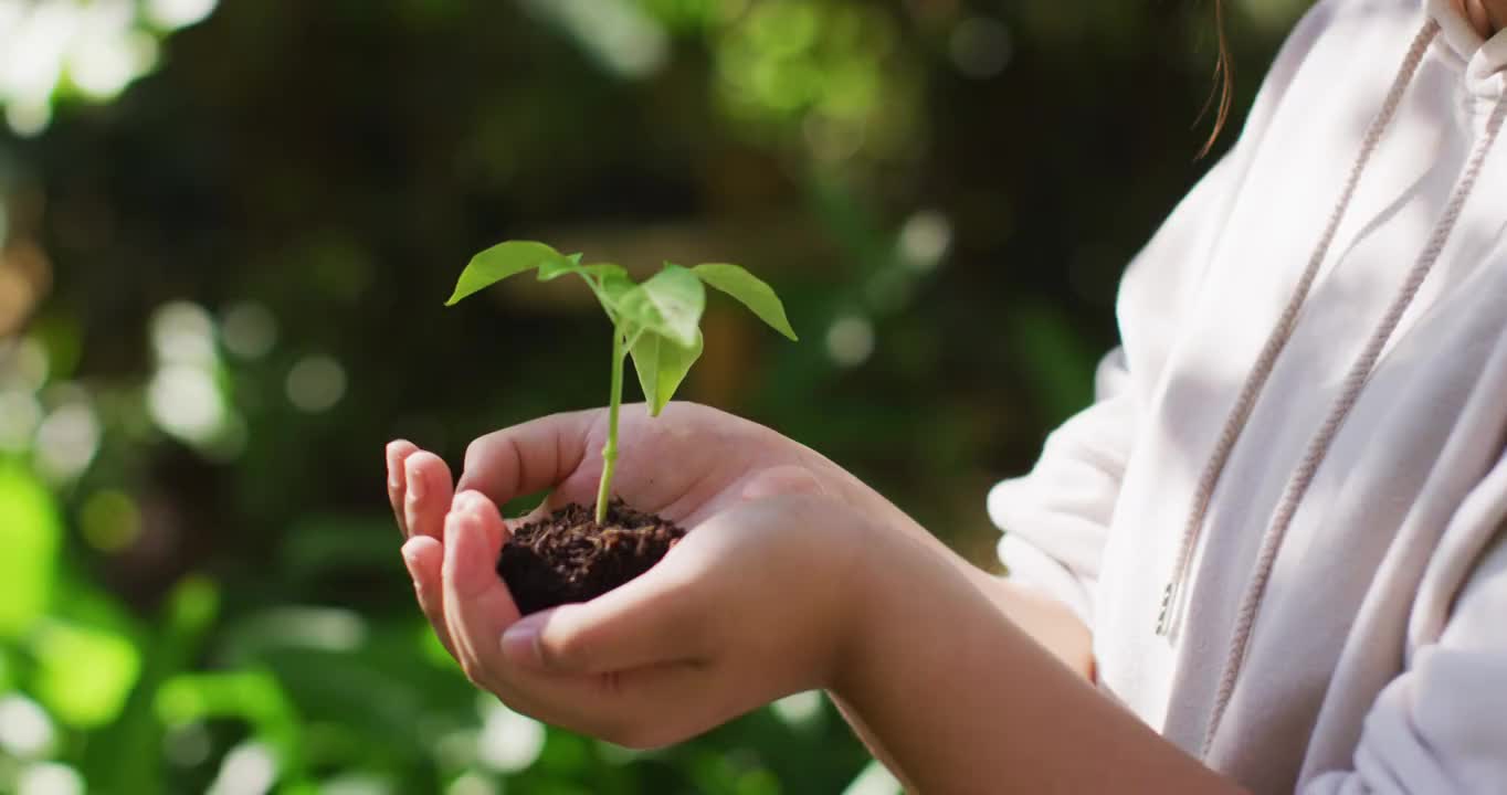 亚洲女孩在阳光明媚的日子抱着植物在花园里视频素材