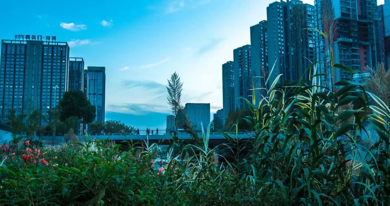 长沙市城南圭塘河晚霞夕阳风景点视频素材