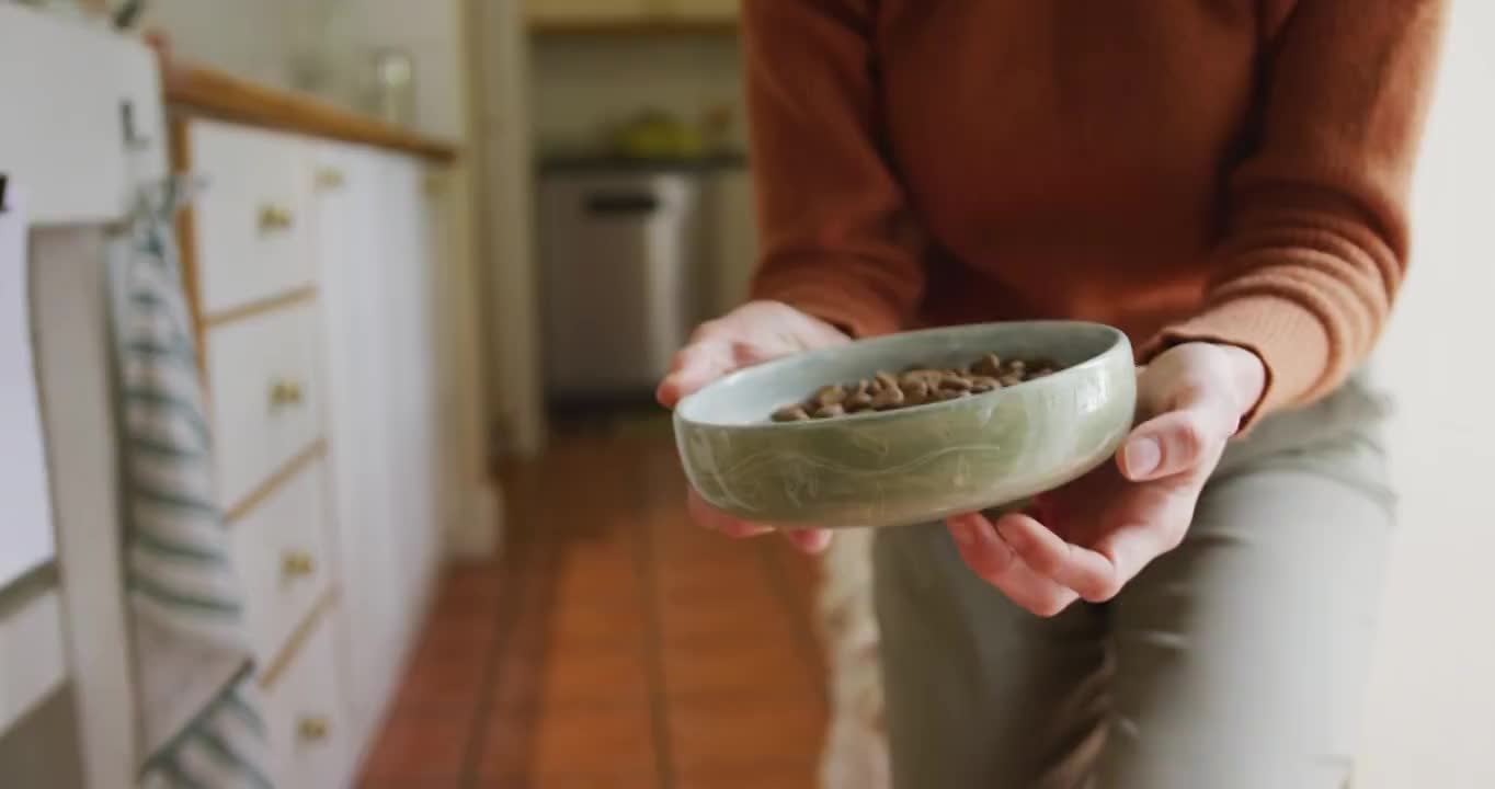 一个白人妇女在家里的厨房用碗喂她的宠物狗视频素材