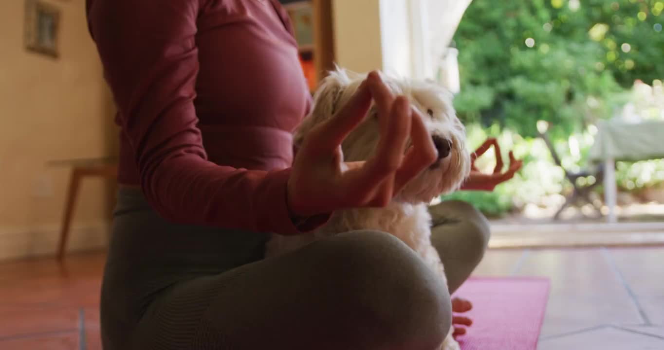 一个白人妇女她的宠物狗在一起视频素材