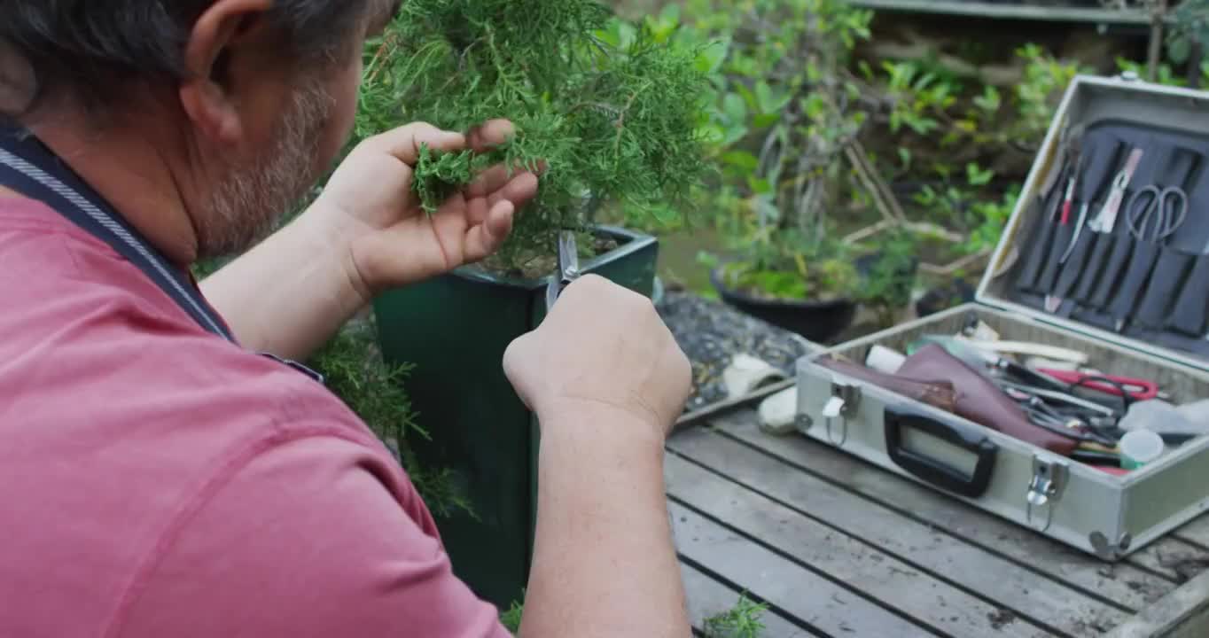 后视图的高加索男性园丁切割盆景树在花园中心视频素材