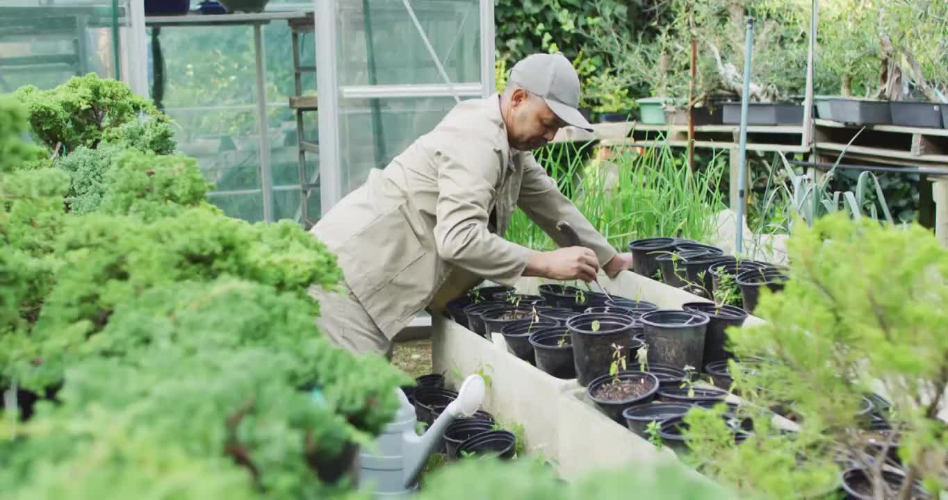 非洲裔美国男园丁在园艺中心浇水视频素材