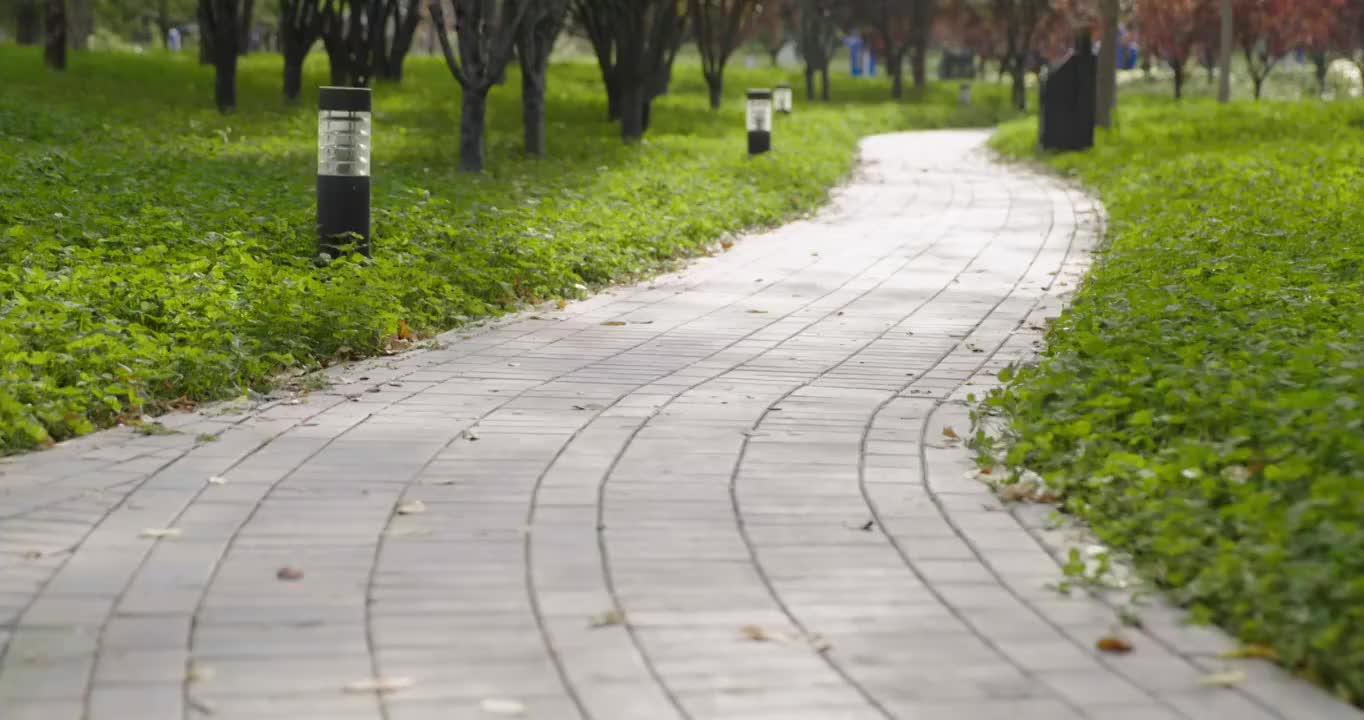 开心的老年夫妇在公园跑步视频素材