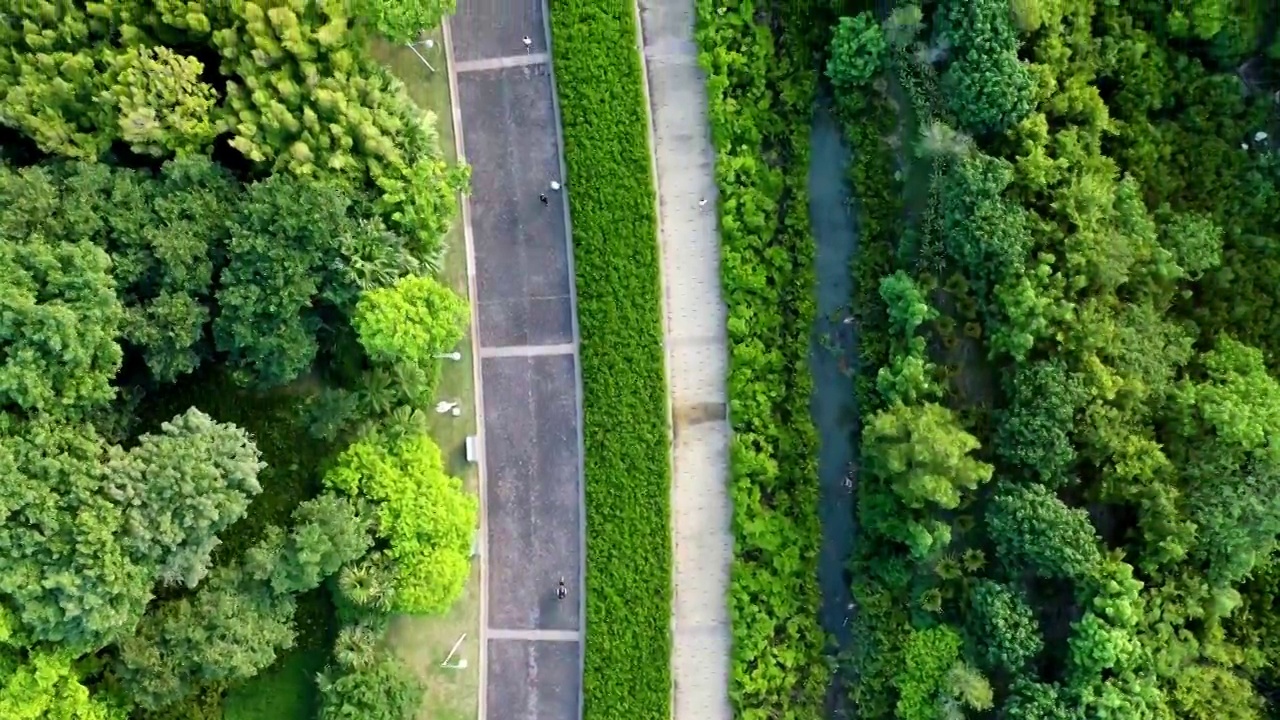 航拍深圳湾公园视频素材