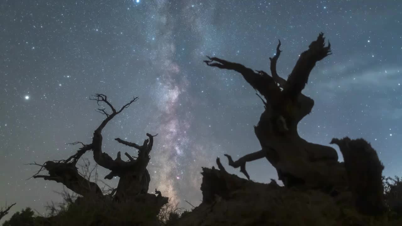 星空延时：新疆哈密伊吾胡杨林银河流动视频下载