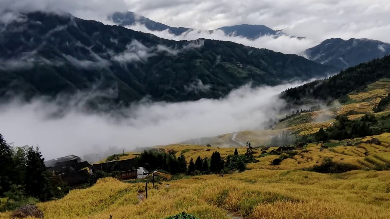 20211010龙脊梯田古壮寨雨后清晨视频素材