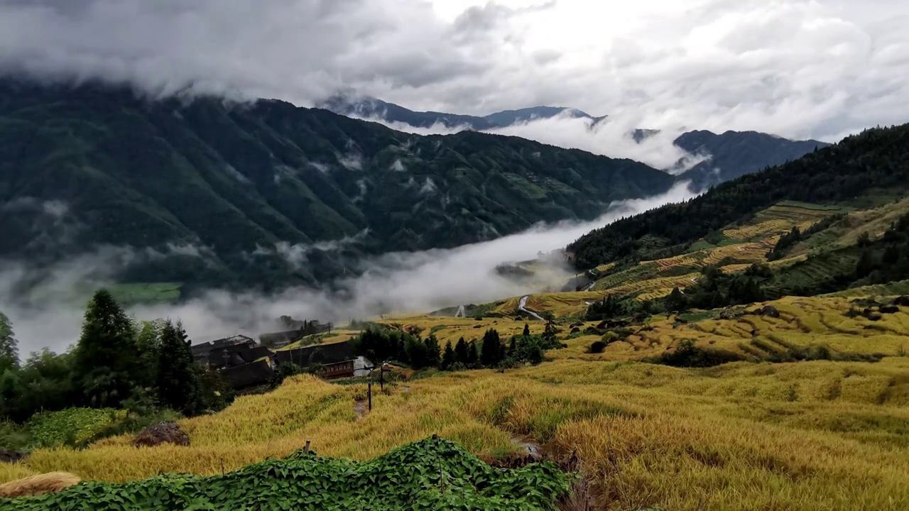 20211010龙脊梯田古壮寨雨后清晨2视频素材