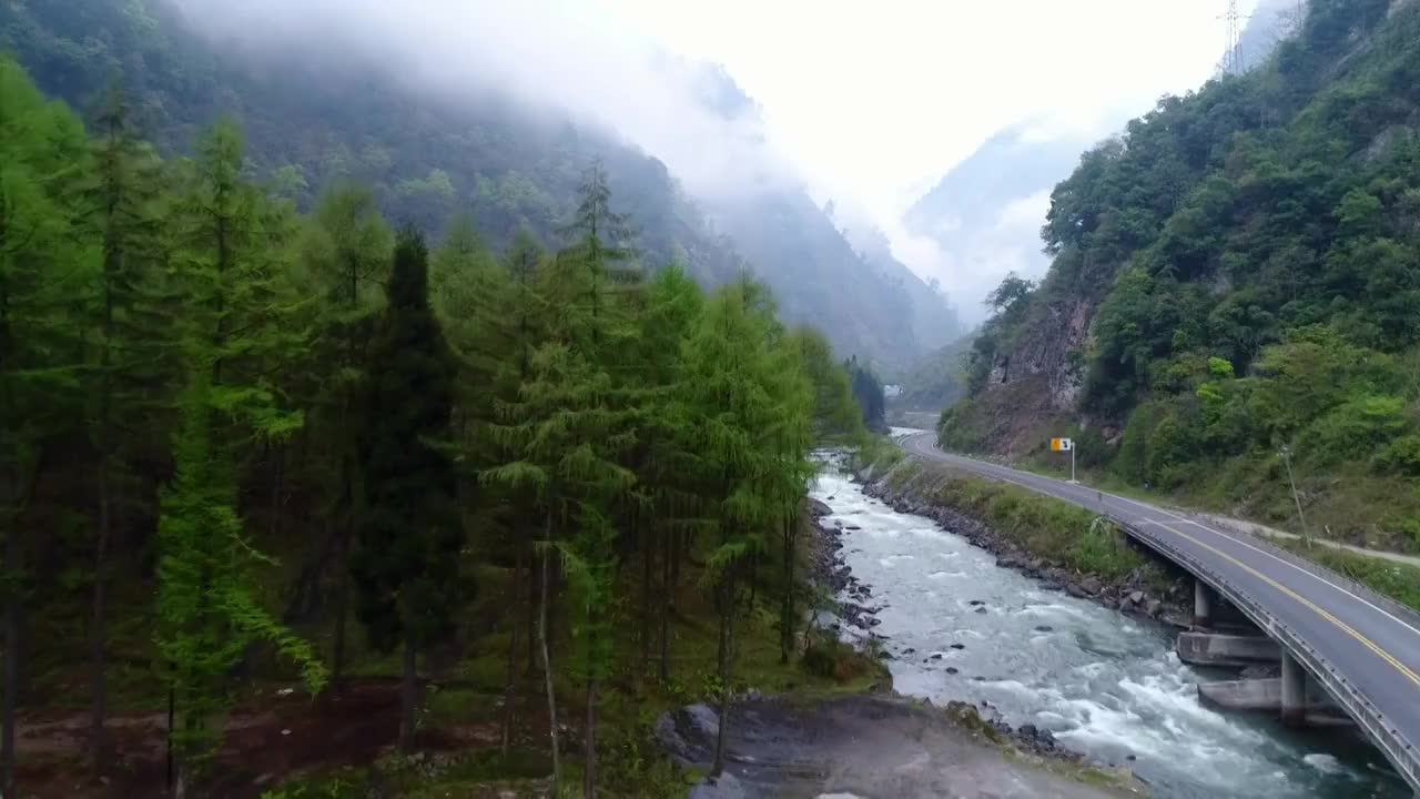 中国四川省卧龙云雾缭绕的山谷视频素材