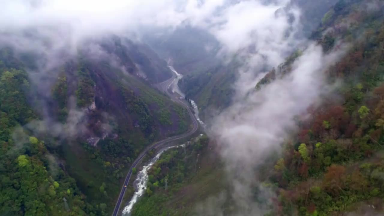 中国四川省卧龙云雾缭绕的山谷视频素材