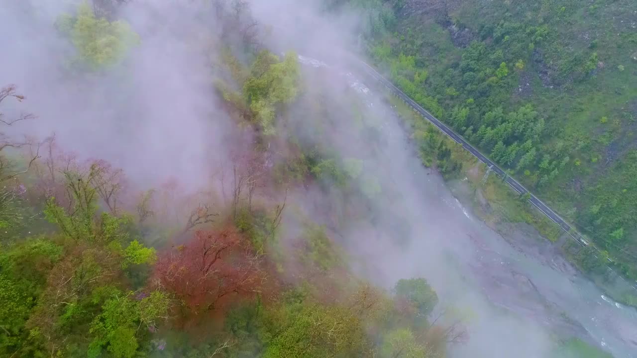 中国四川省卧龙云雾缭绕的山谷视频素材