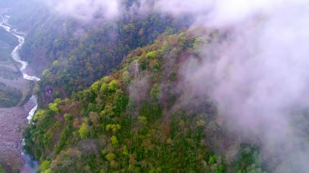 中国四川省卧龙云雾缭绕的山谷视频素材