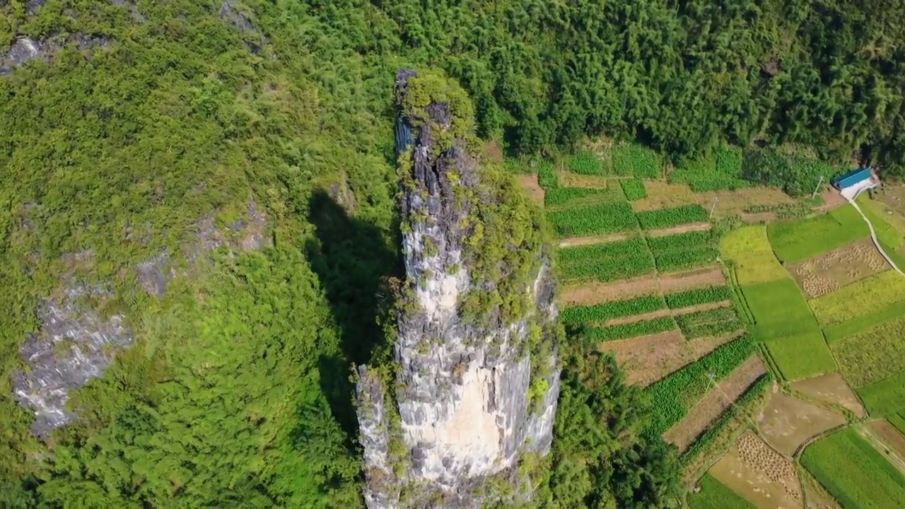 航拍广西河池罗城县五指峰奇特山峰视频素材