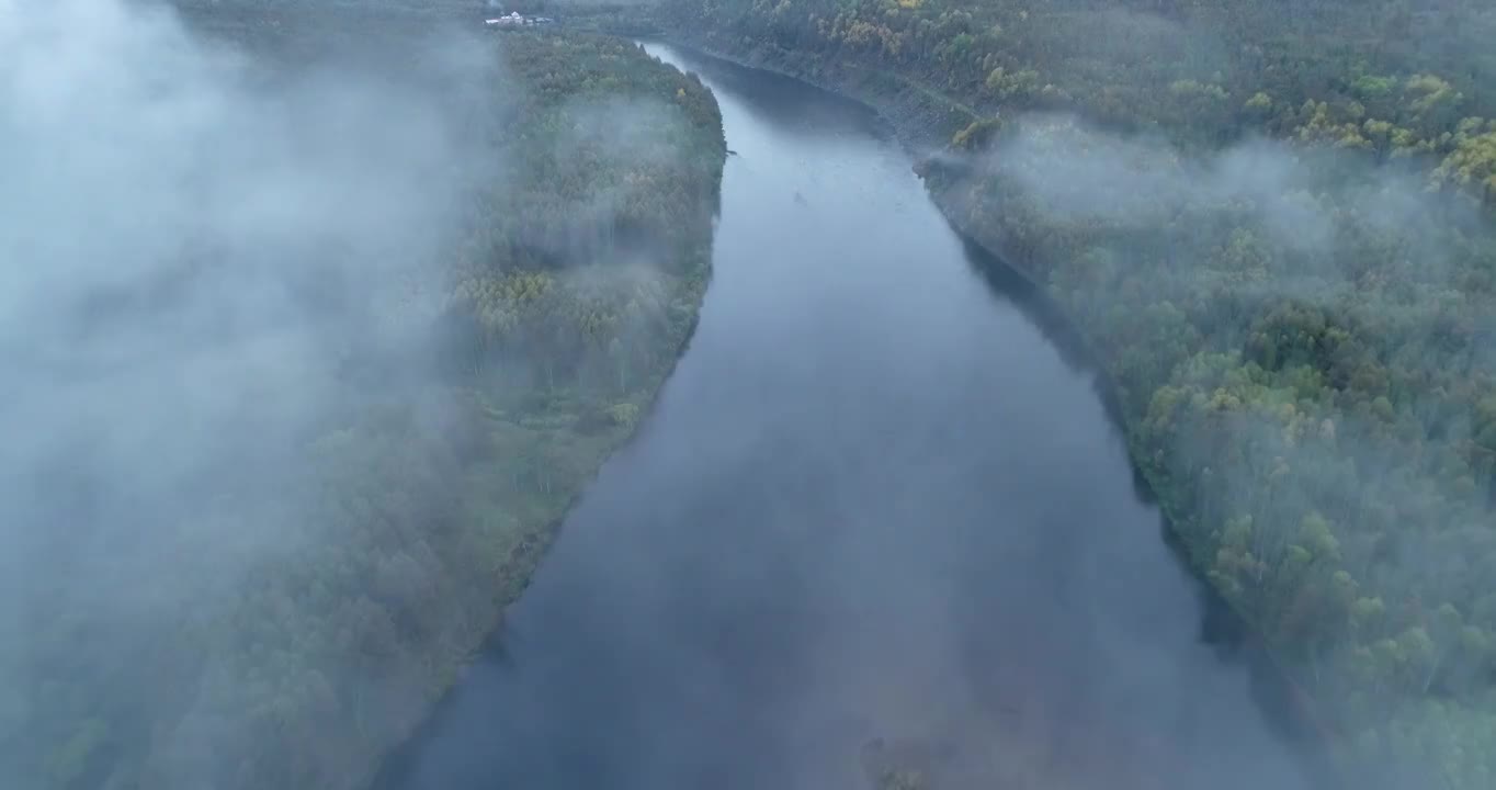 航拍大兴安岭激流河下雨时的云雾山林视频素材