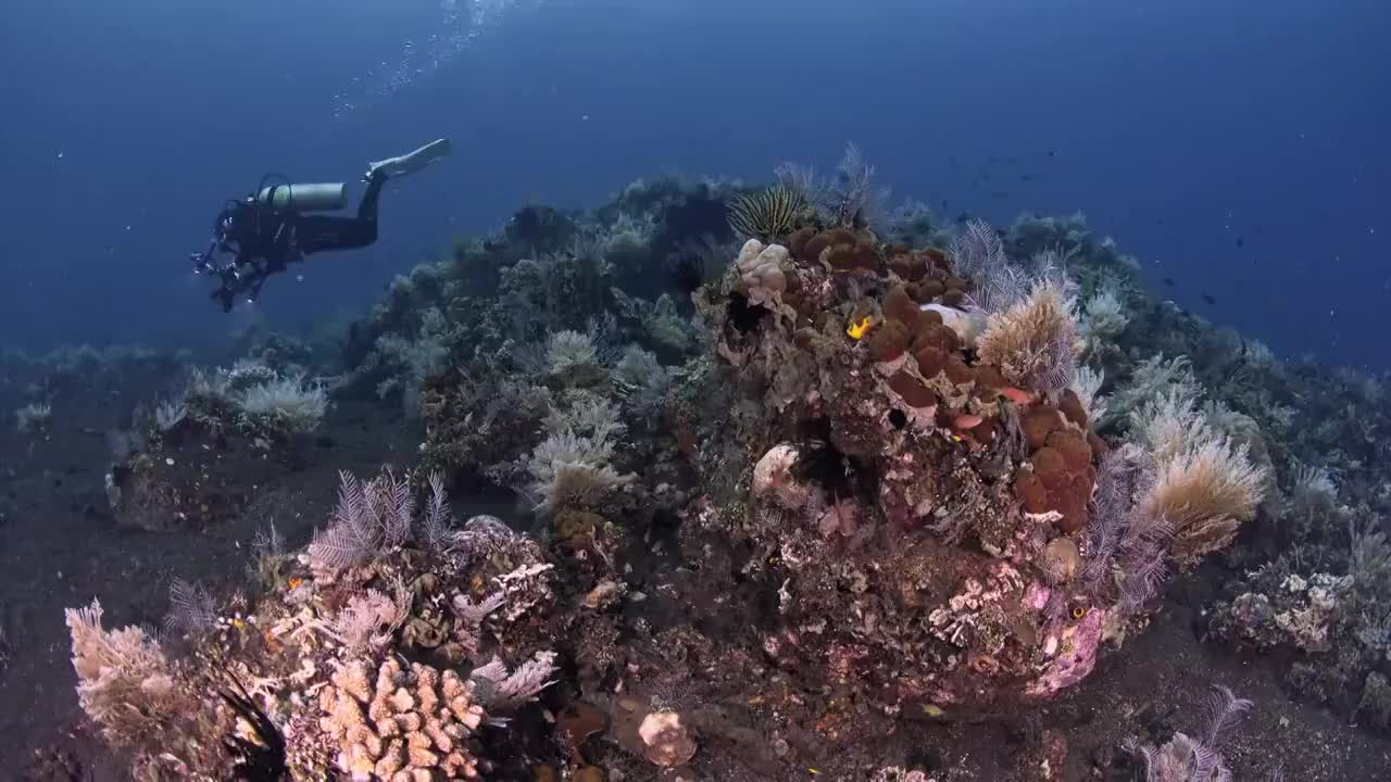 水下摄影潜水员探索神奇的海底世界视频素材