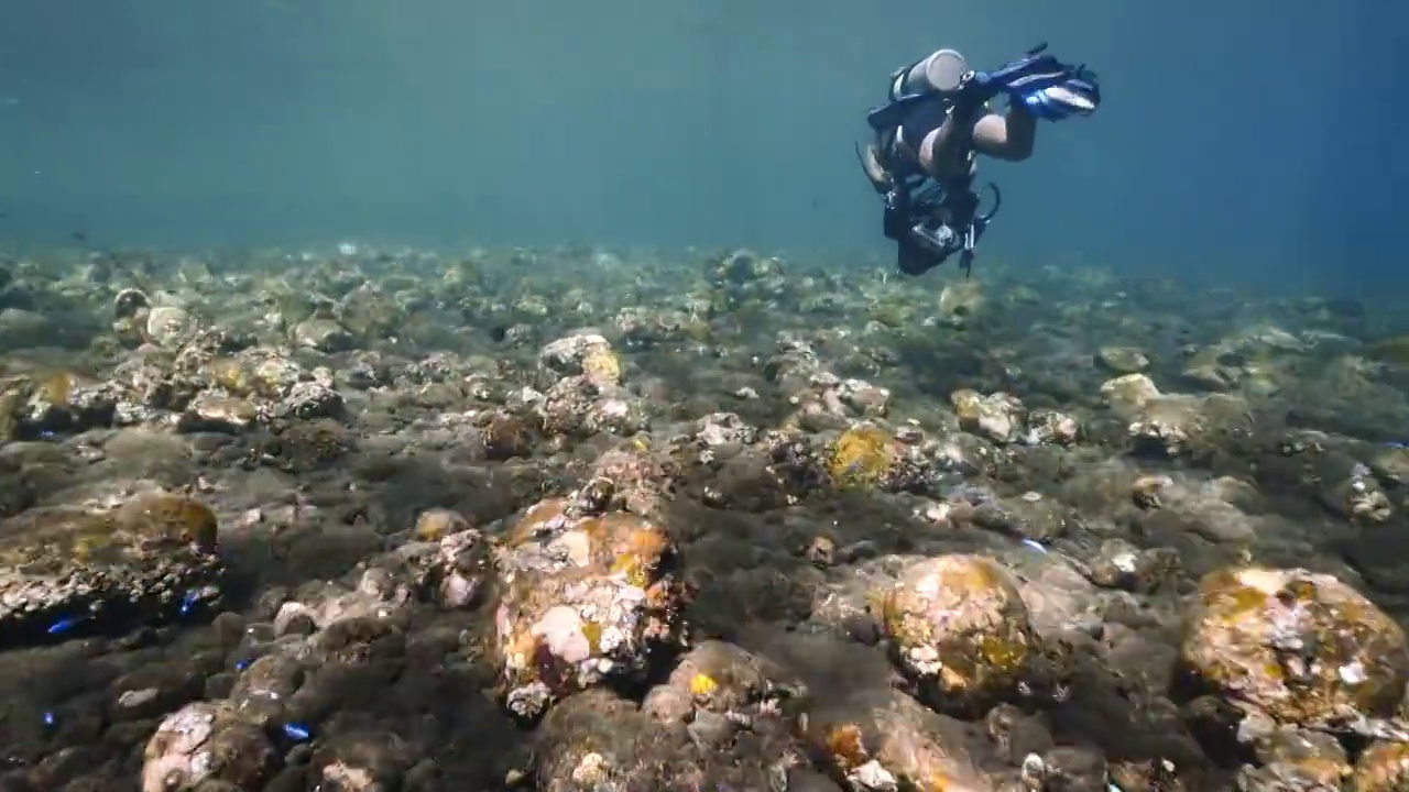 水下摄影潜水员探索神奇的海底世界视频素材