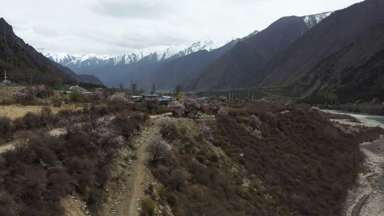 西藏林芝：拉林高速公路米拉山口段风光视频素材