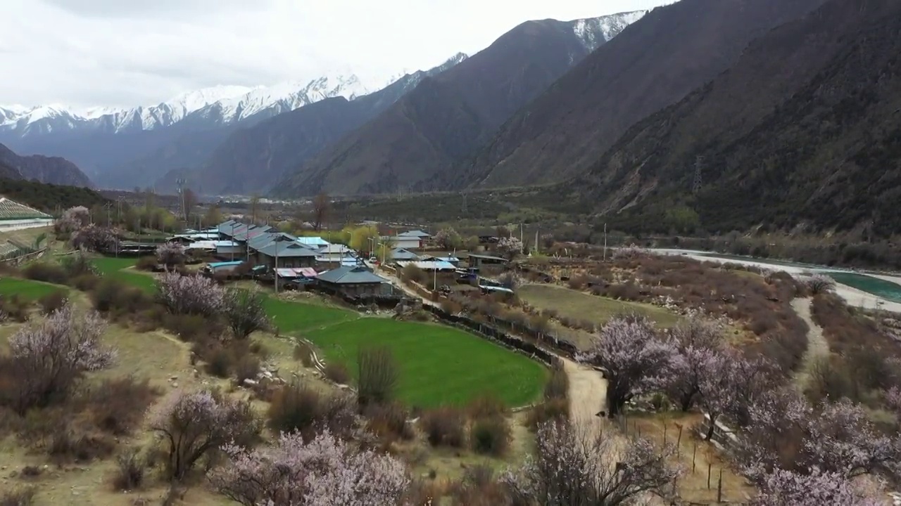 西藏林芝：拉林高速公路米拉山口段风光视频素材