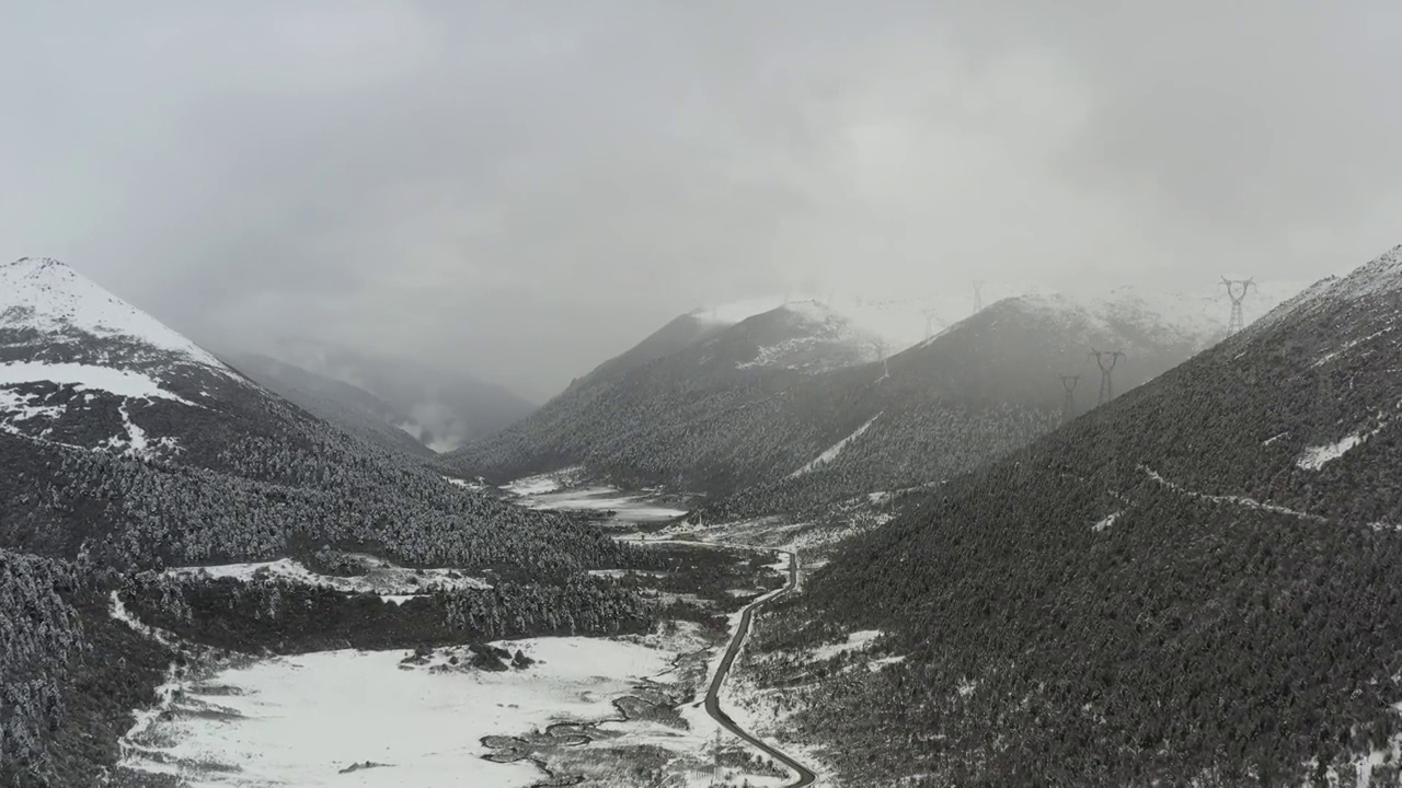 西藏林芝：春雪春雾看雪山林海视频素材