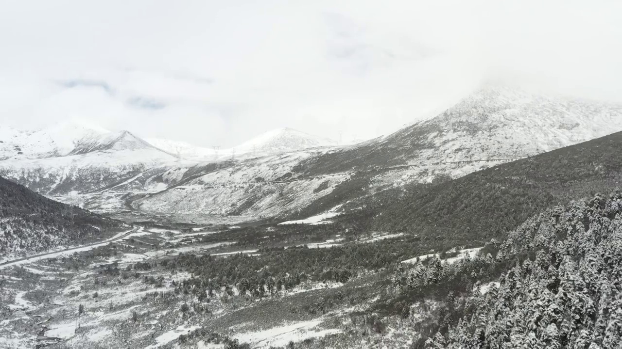 西藏林芝：春雪春雾看雪山林海视频素材