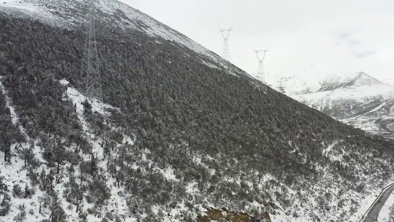 西藏林芝：春雪春雾看雪山林海视频素材