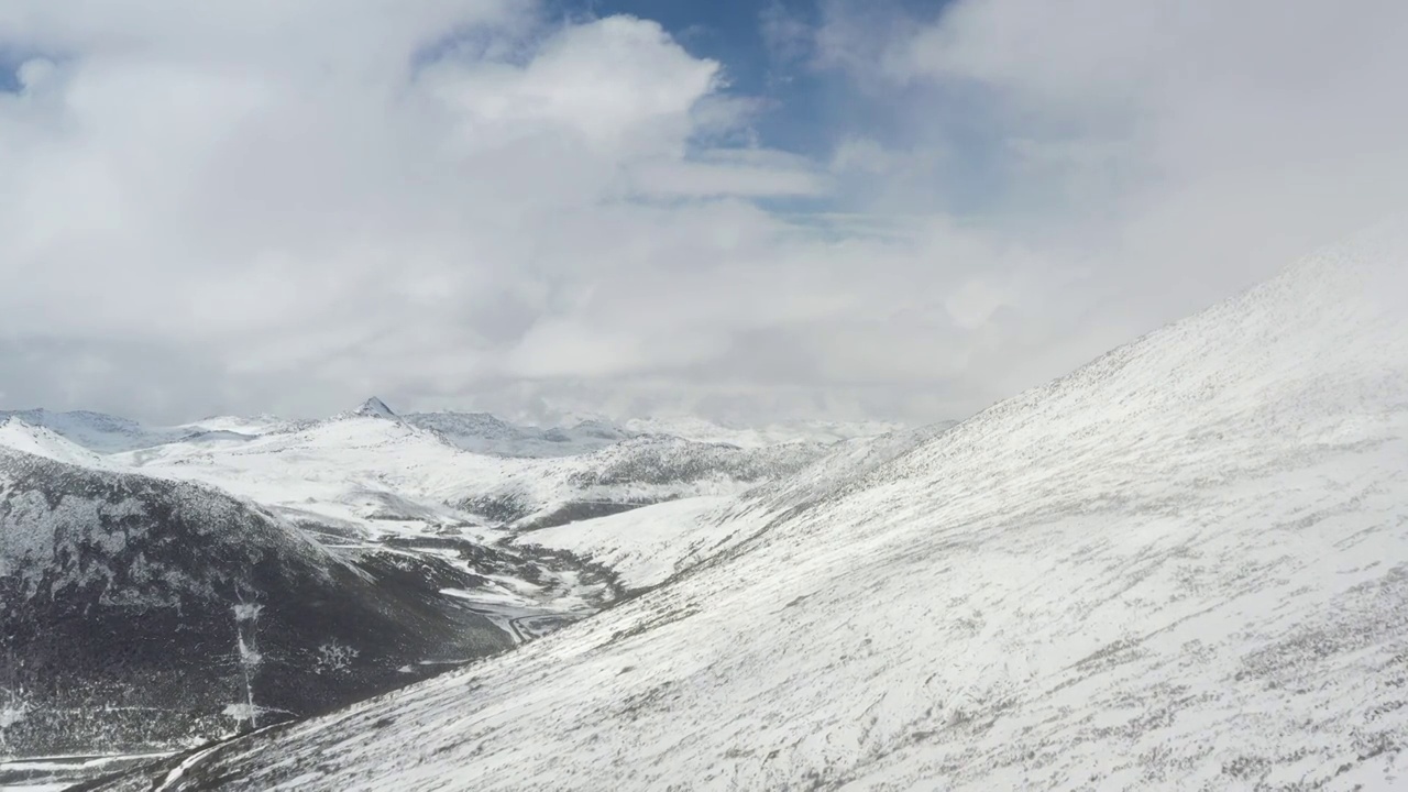 西藏林芝：春雪春雾看雪山林海视频素材