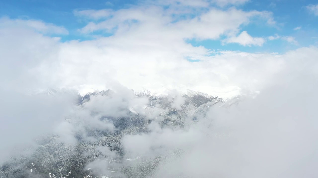 西藏林芝：春雪春雾看雪山林海视频素材