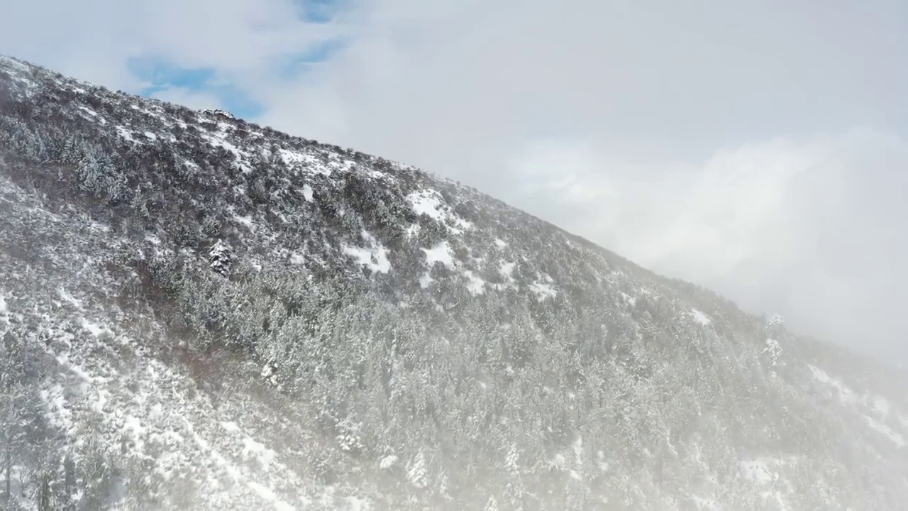 西藏林芝：春雪春雾看雪山林海视频素材