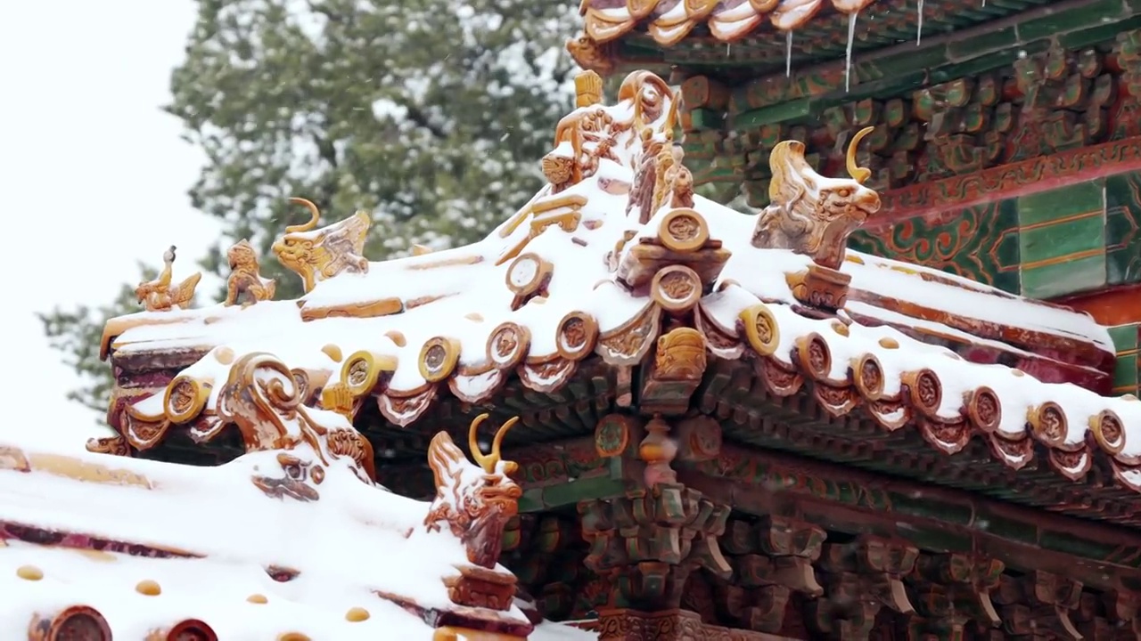 雪落故宫，白雪镶红墙，碎碎坠琼芳视频下载