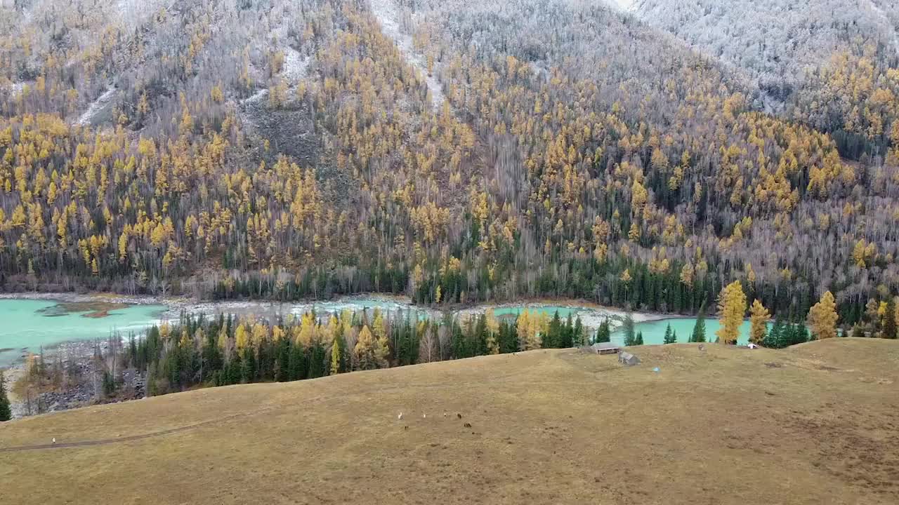 新疆喀纳斯卧龙湾航拍视频素材