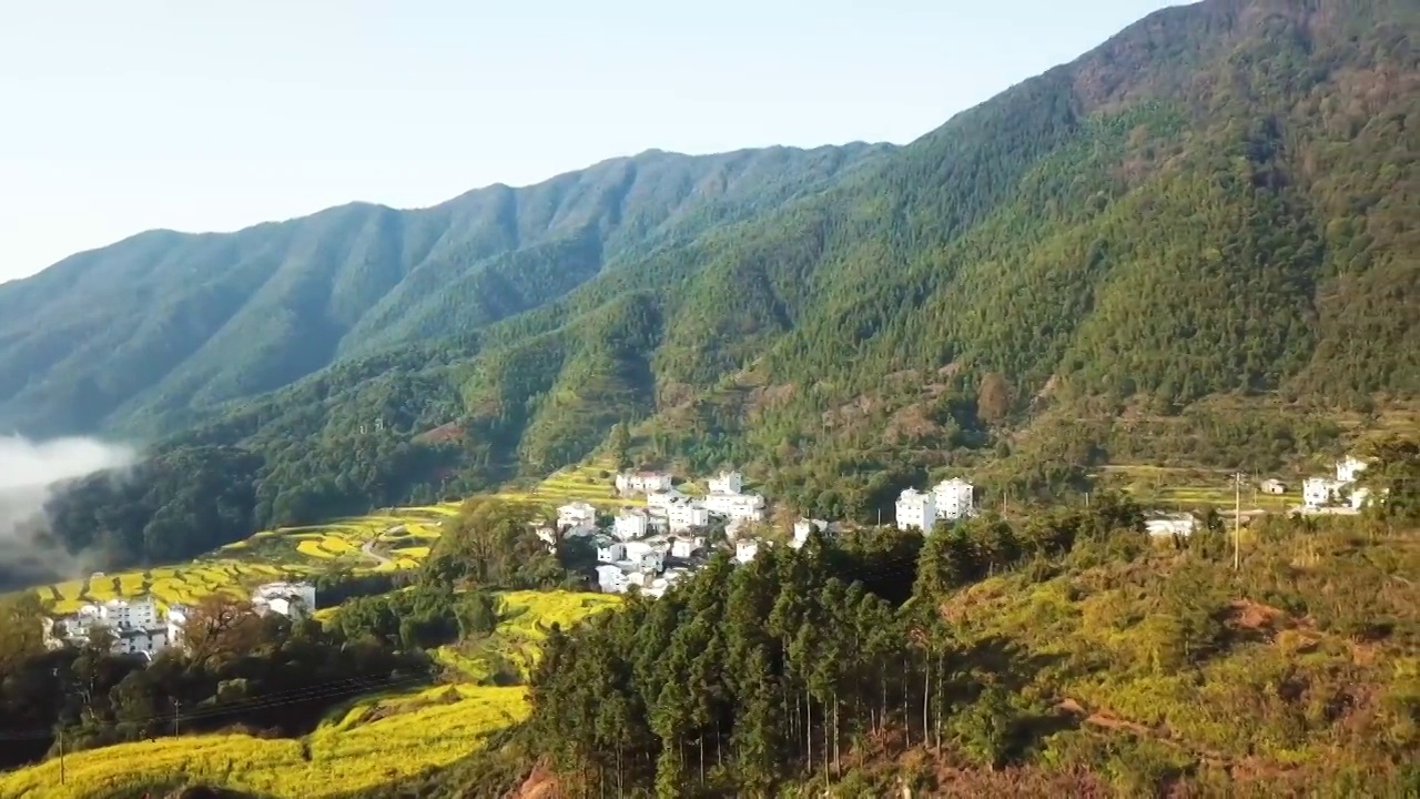 江西婺源春天油菜花航拍-雾气环绕视频素材