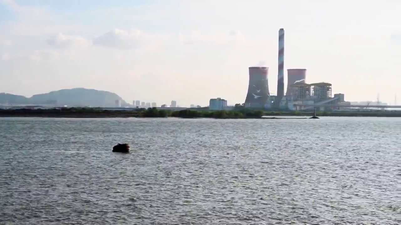 广东广州番禺海鸥岛，珠江景色视频素材