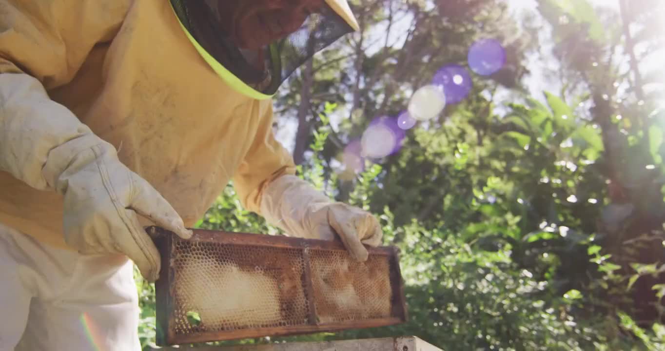 穿着防护服的白人男性养蜂人，从蜂房观察蜂房视频素材