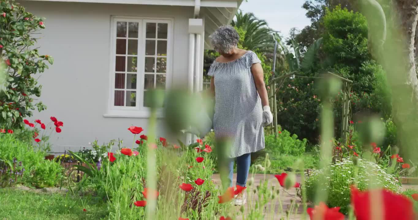 动画的非洲裔美国高级妇女园艺，浇花视频素材