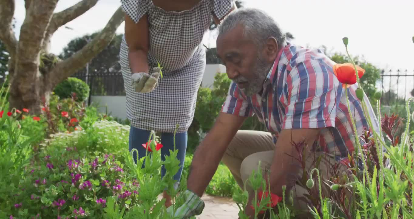 动画的非洲裔美国老年夫妇园艺，种植花卉视频素材