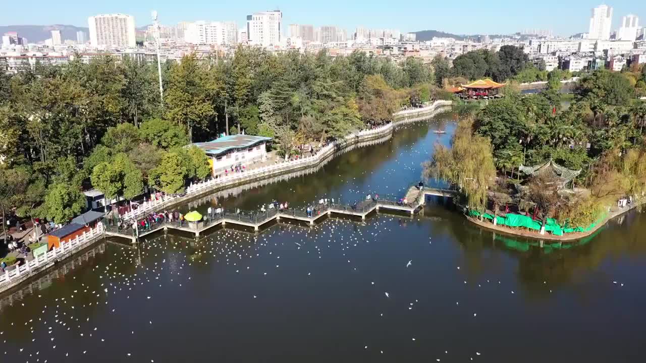 昆明市翠湖公园航拍视频素材