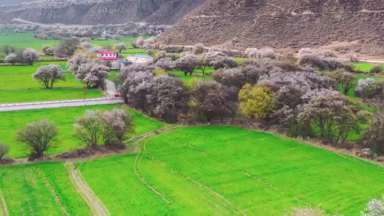 西藏林芝波密桃花沟风光视频素材