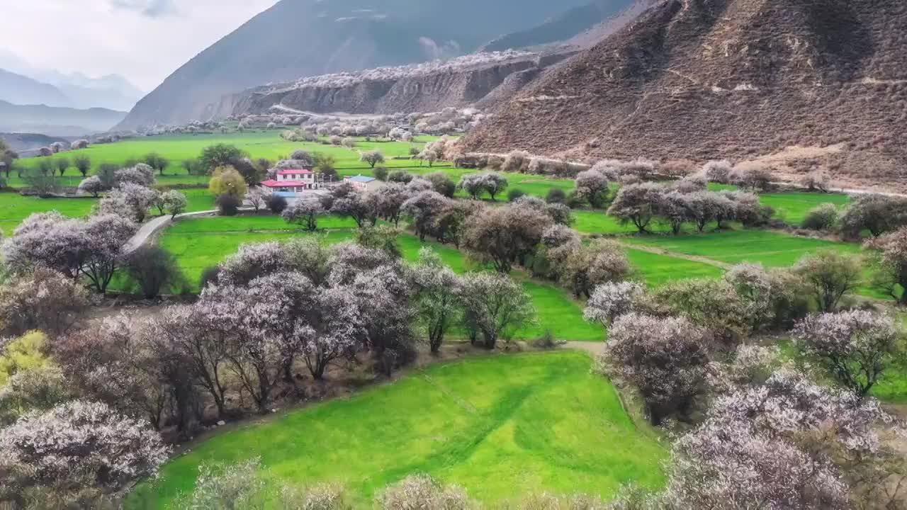 西藏林芝波密桃花沟风光视频素材